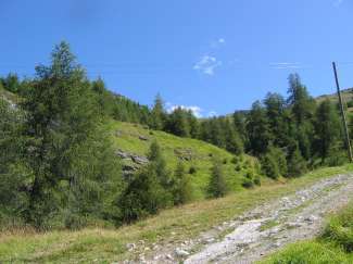 IMG_4451.JPG